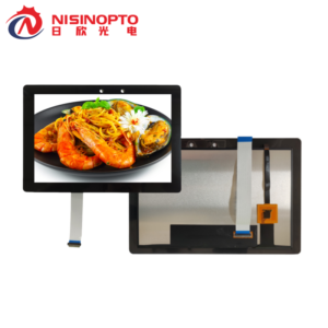 10.1 inch TFT LCD Module