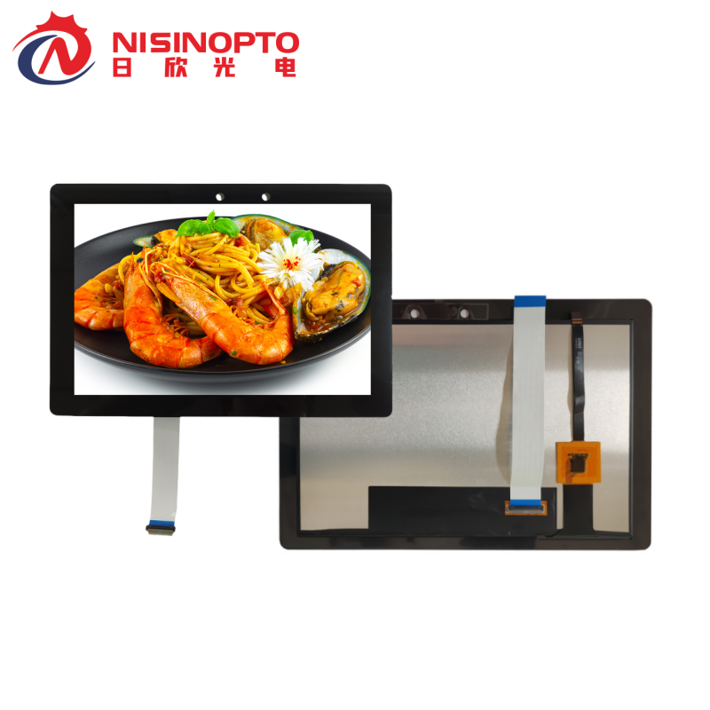 10.1 inch TFT LCD Module