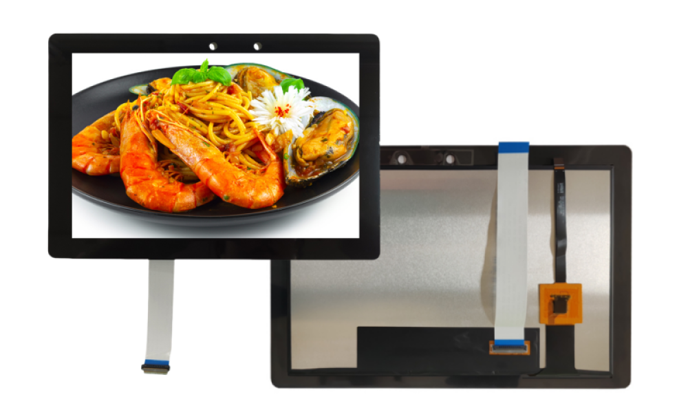 10.1 inch TFT LCD Module